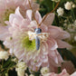 Dragonfly necklace