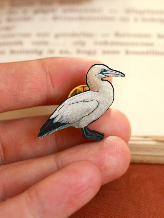 Northern gannet pin