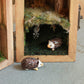 Hedgehogs nest shadow box - Hedgehog family in a hand-painted open-able wooden box