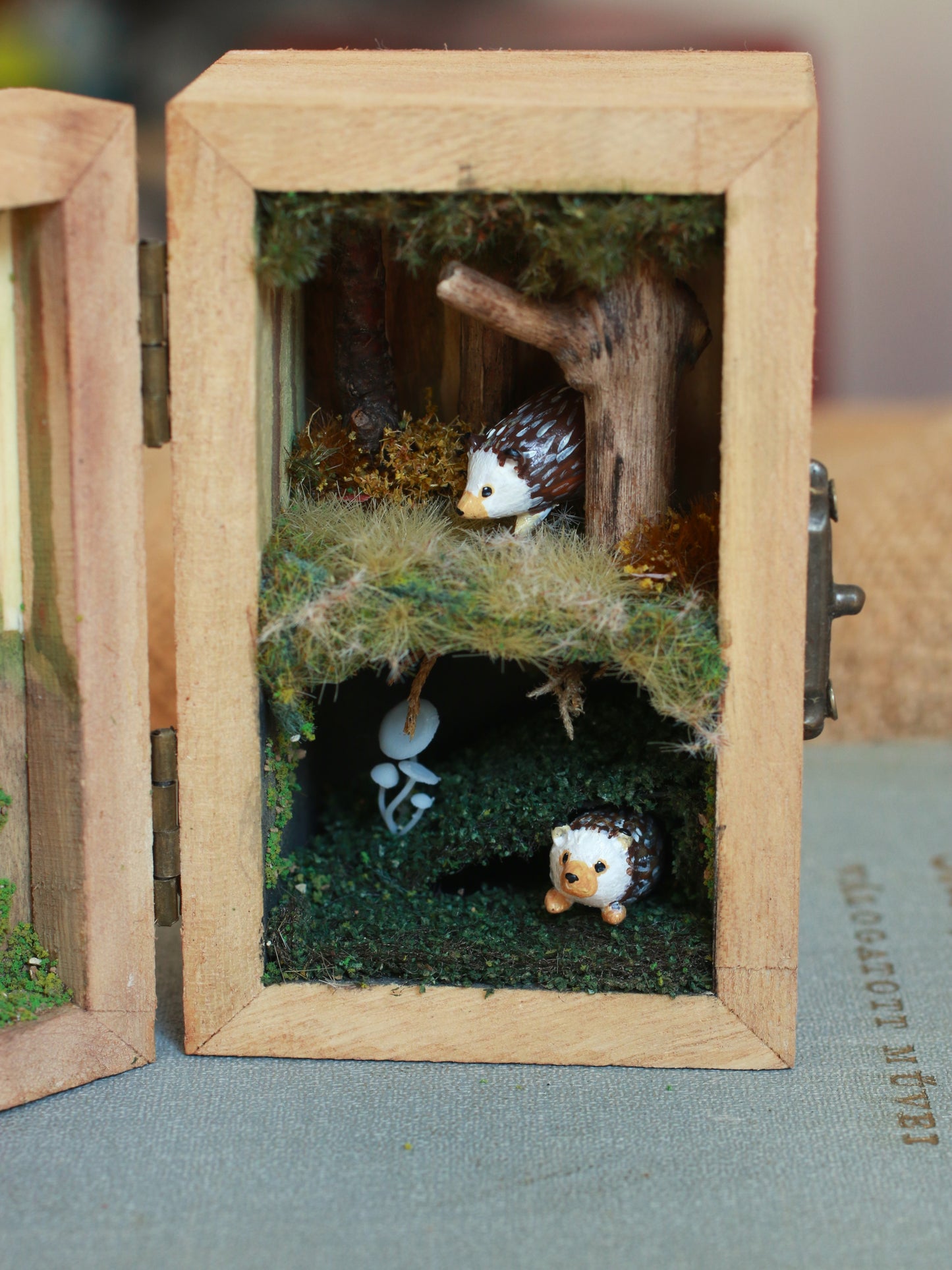 Hedgehogs nest shadow box - Hedgehog family in a hand-painted open-able wooden box