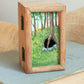 Badgers burrow shadow box - Badger family in a hand-painted open-able wooden box