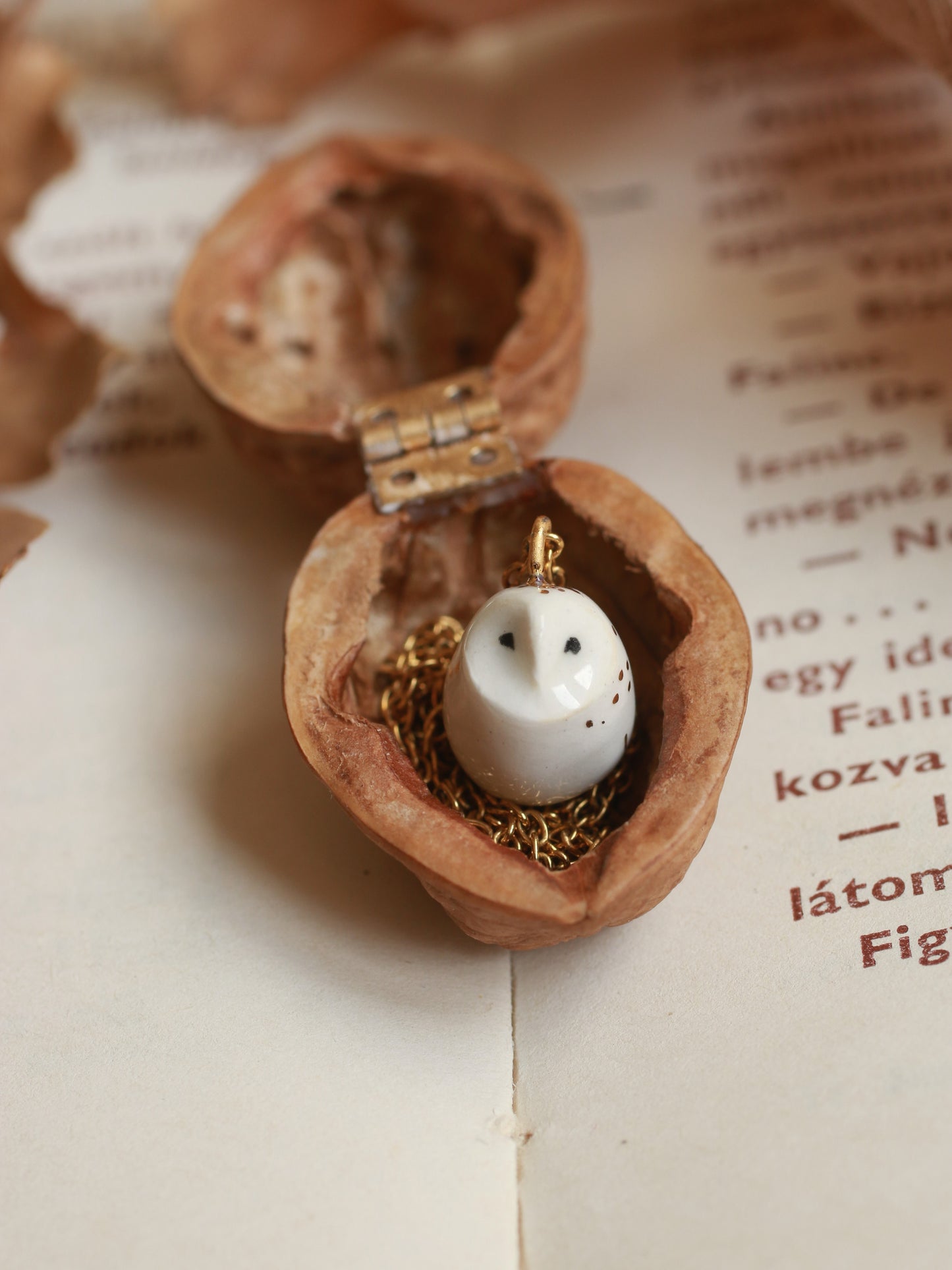 Baby barn owl necklace in a nutshell box