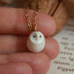 Baby barn owl necklace in a nutshell box