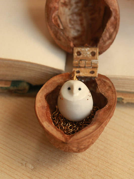 Baby barn owl necklace in a nutshell box