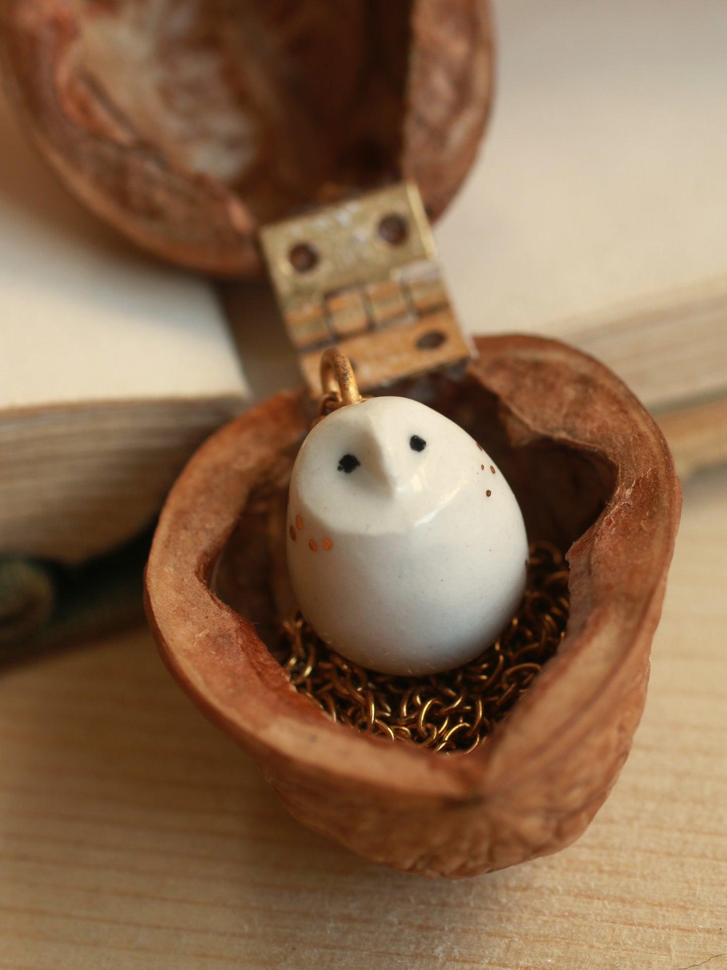 Baby barn owl necklace in a nutshell box