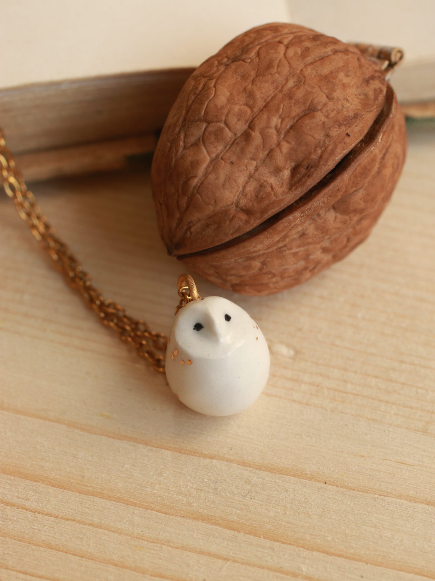 Baby barn owl necklace in a nutshell box