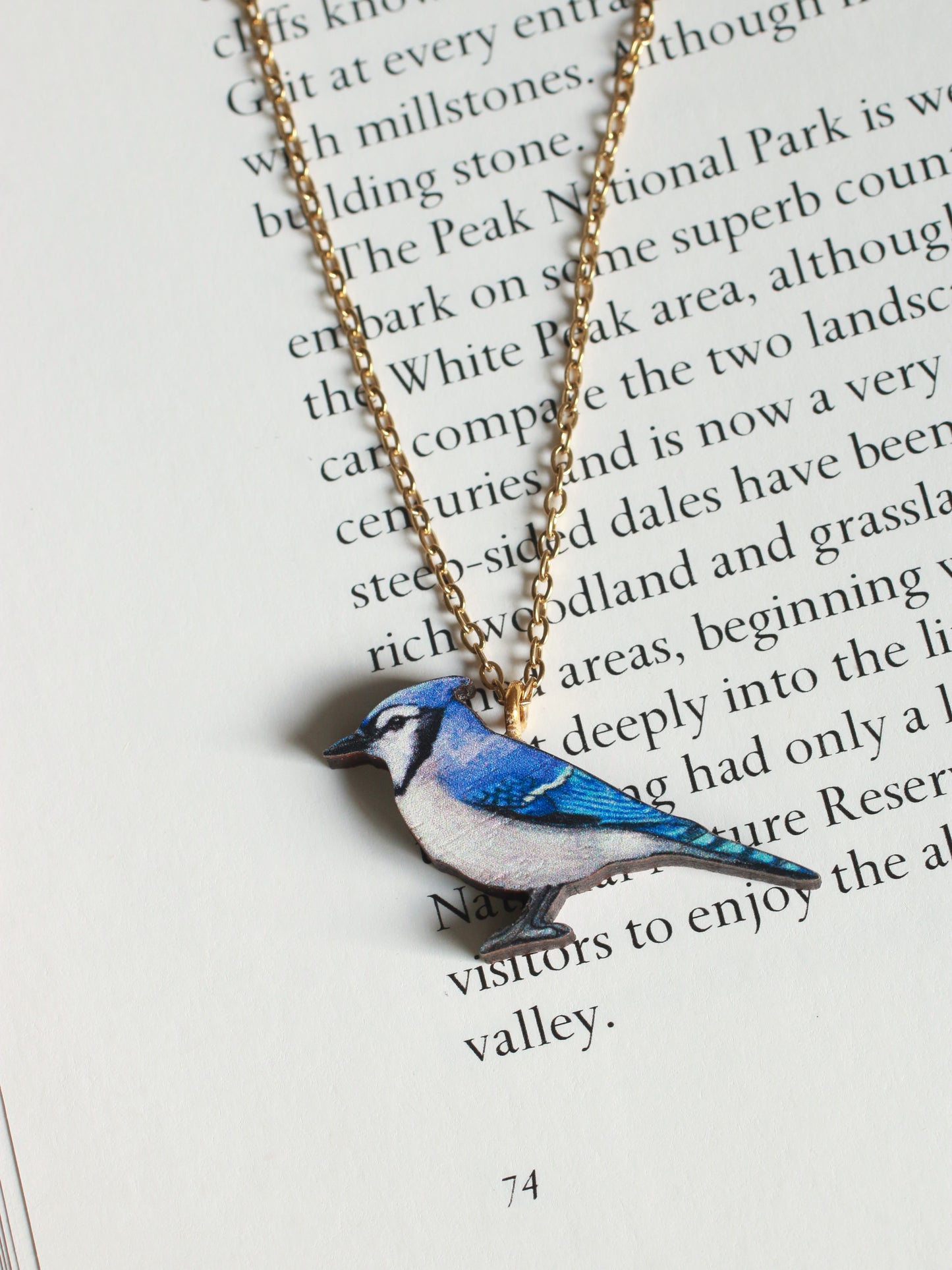 Blue jay necklace - wooden bird pendant