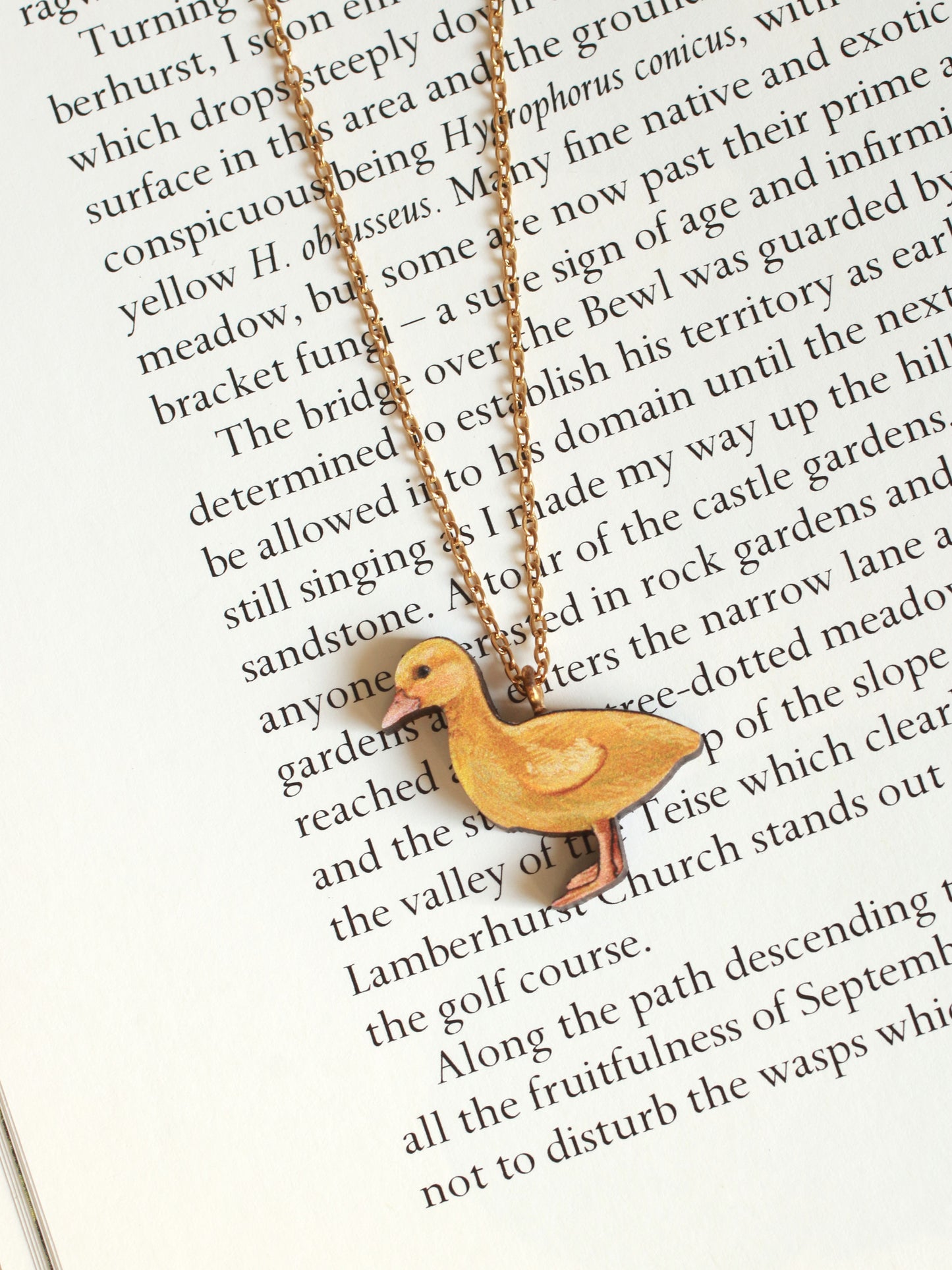 Duck necklace