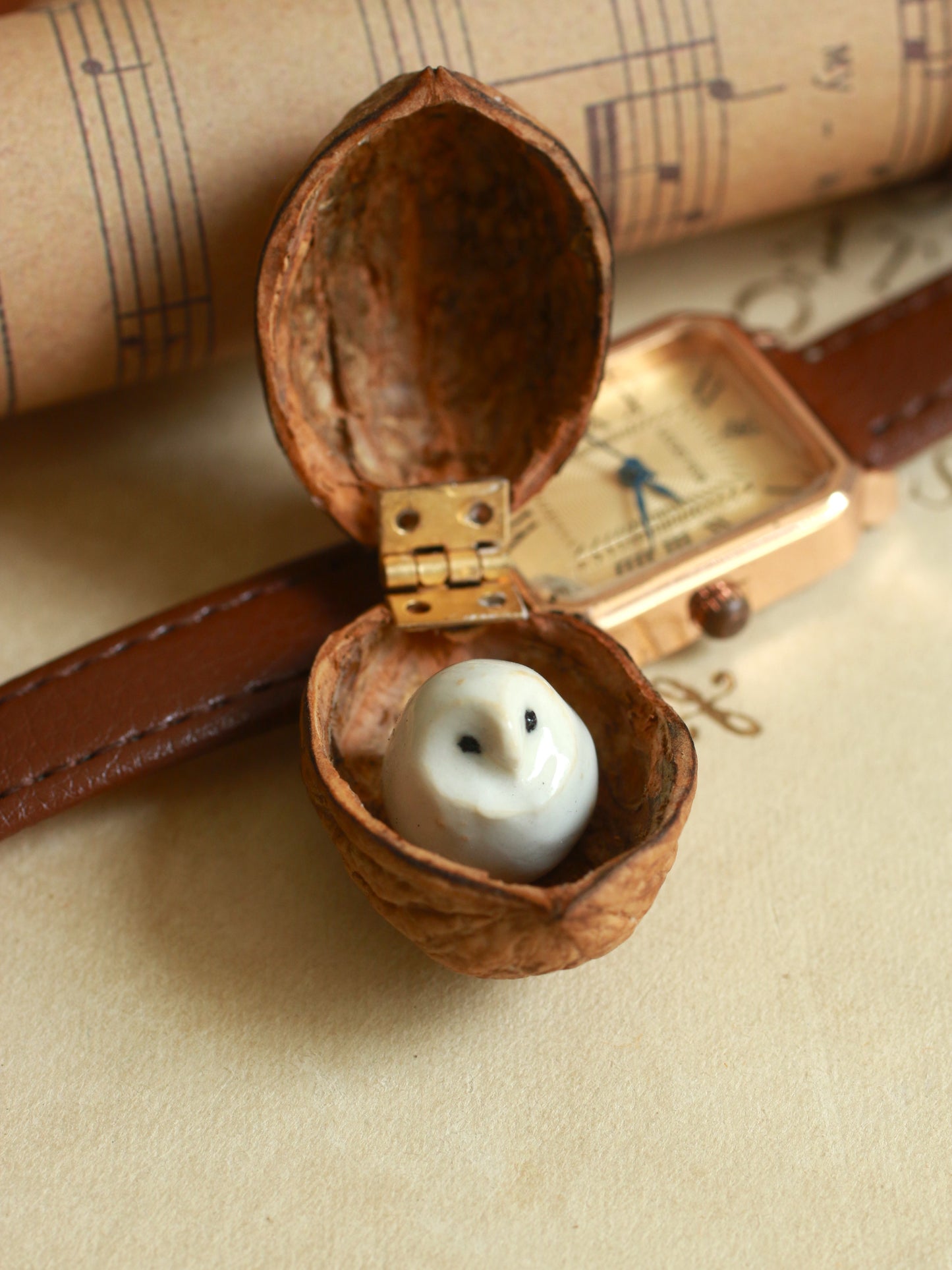 Baby barn owl in a walnut box