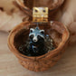 Raccoon necklace in a nutshell box