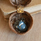 Sleeping starry wolf necklace in a nutshell box