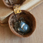 Sleeping starry wolf necklace in a nutshell box