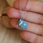 Sleeping starry wolf necklace in a nutshell box