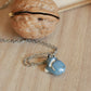 Sleeping starry wolf necklace in a nutshell box