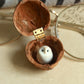 Baby barn owl in a walnut box