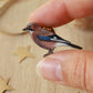 Jay pin - wooden bird brooch