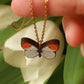 Wooden Orange tip Butterfly necklace