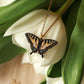 Tiger swallowtail butterfly necklace