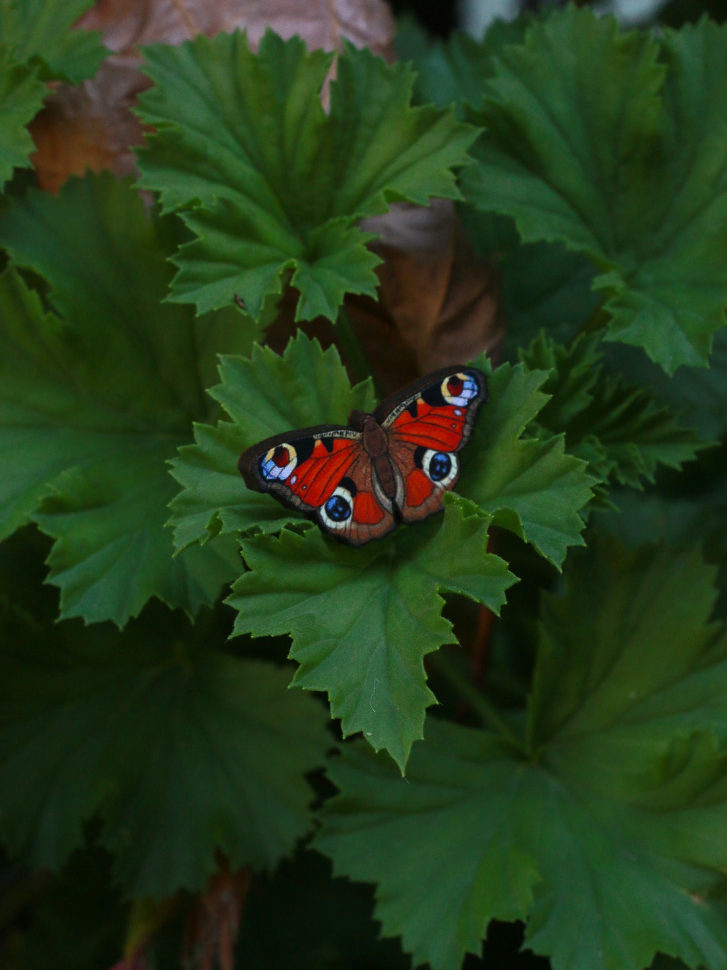 Peacock Butterfly pin