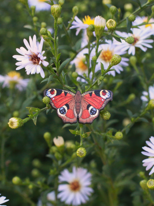 Peacock Butterfly pin