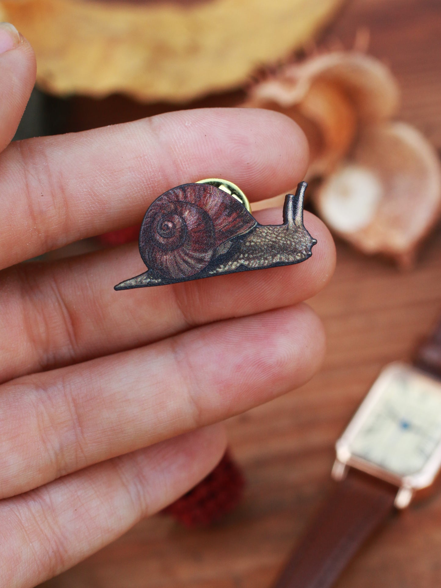 Snail pin - wooden snail brooch