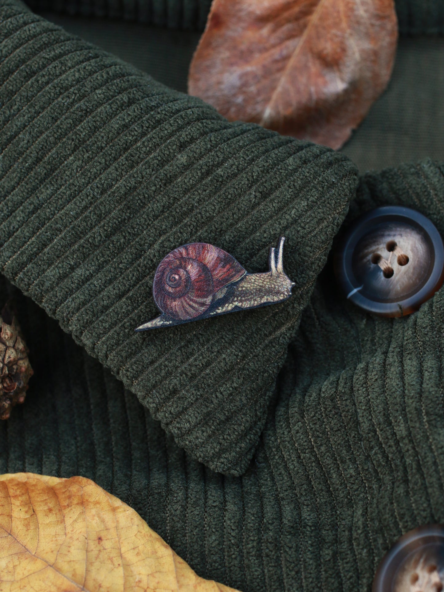 Snail pin - wooden snail brooch