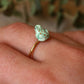 Frog ring