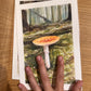 Fly agaric mushroom print - A5 art print RESERVED