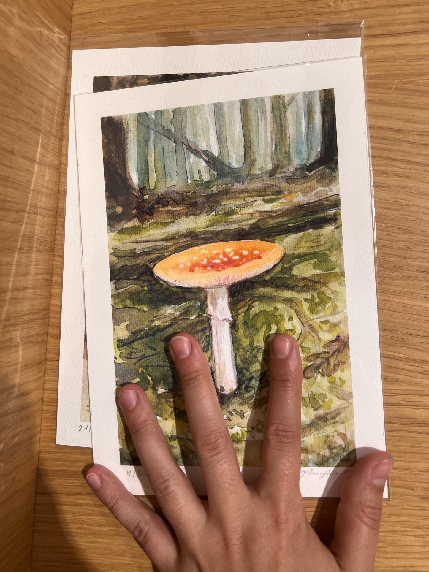 Fly agaric mushroom print - A5 art print RESERVED