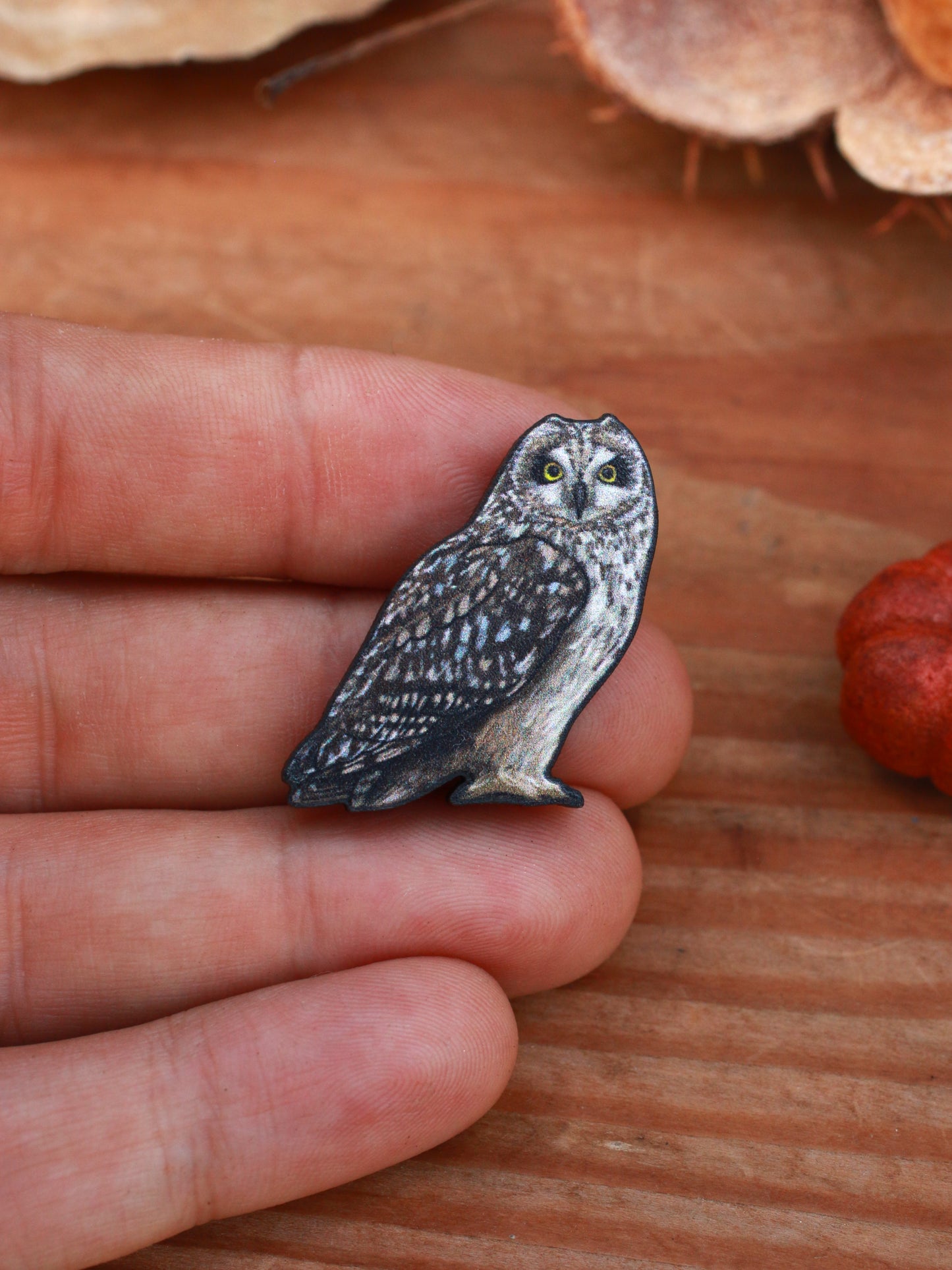 Short eared owl pin