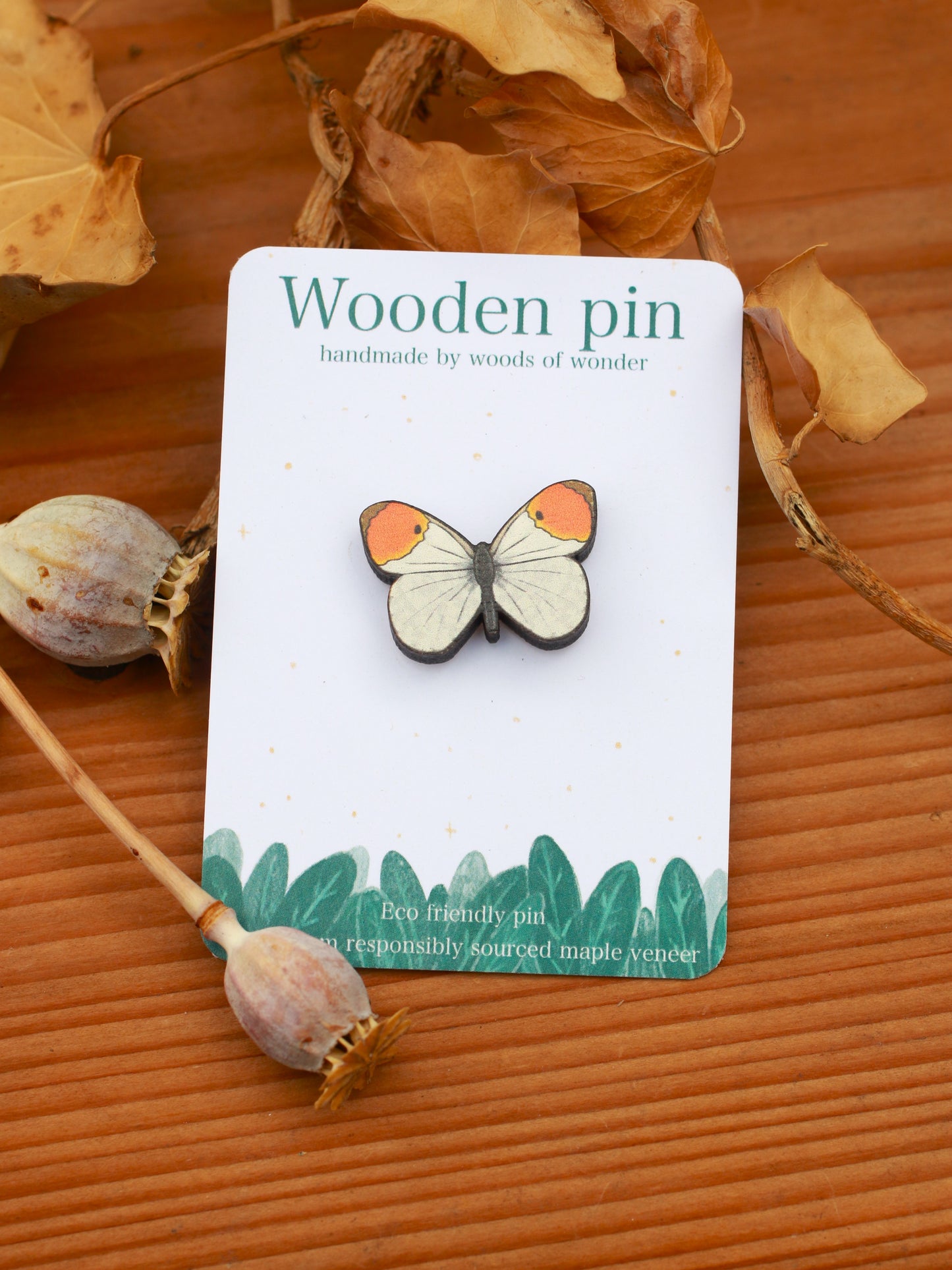 Orange tip butterfly pin