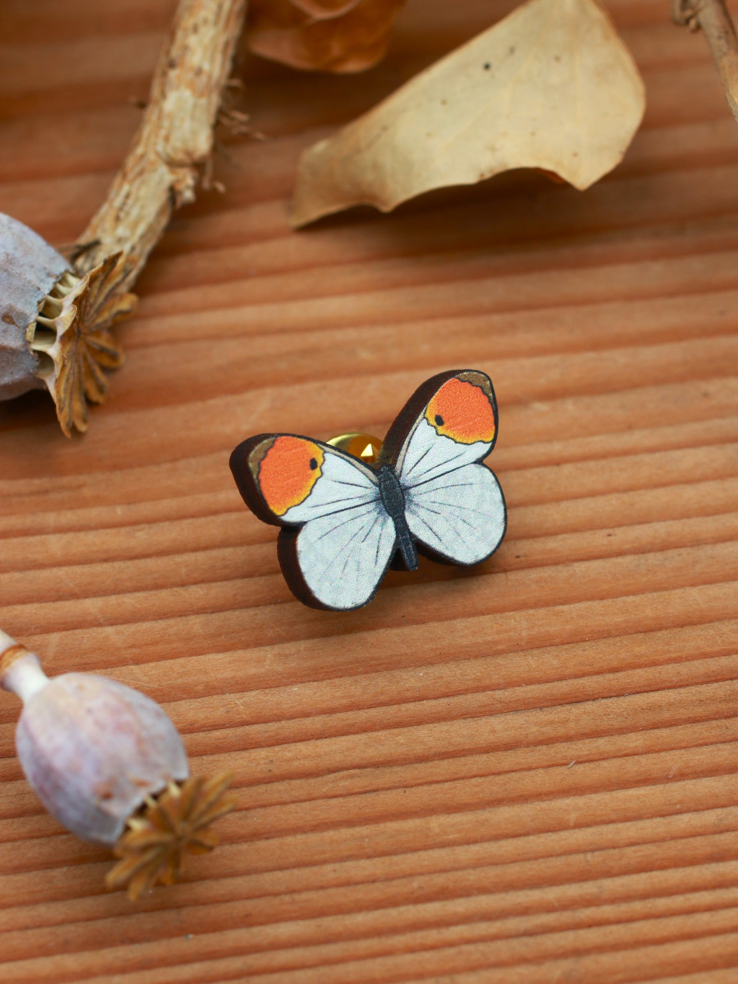 Orange tip butterfly pin