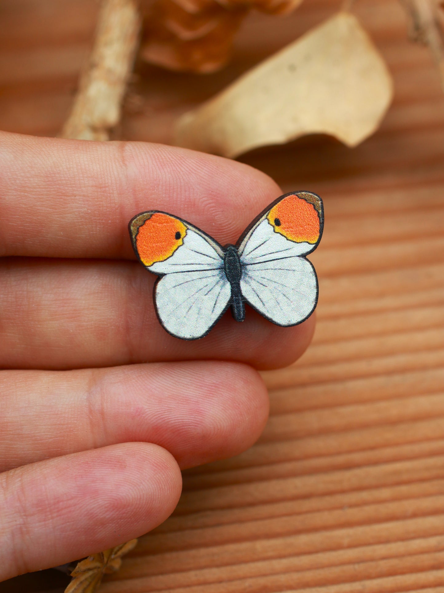 Orange tip butterfly pin