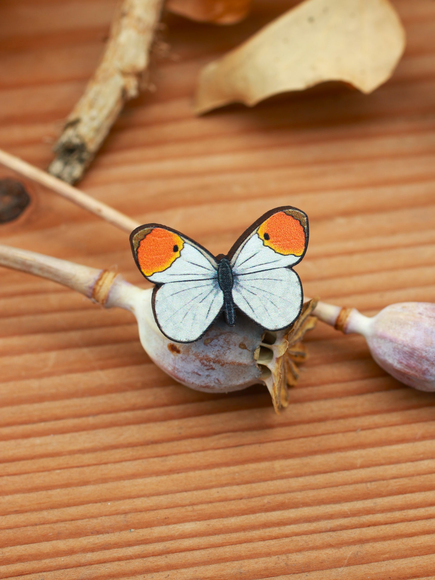 Orange tip butterfly pin