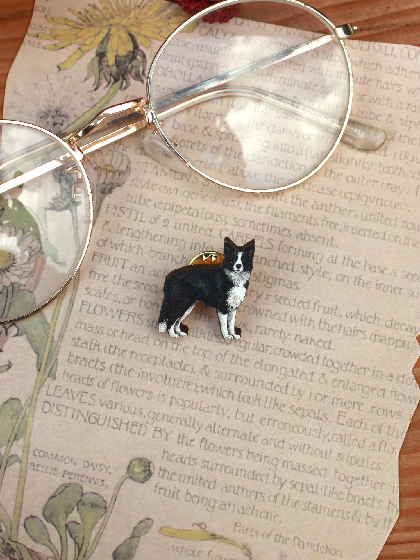 Border collie pin - wooden dog brooch