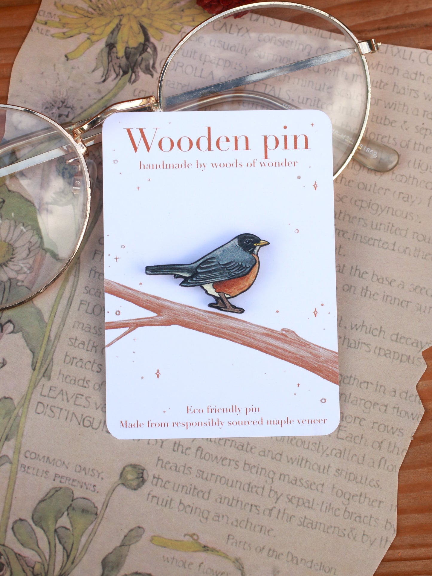 American Robin pin - wooden bird brooch