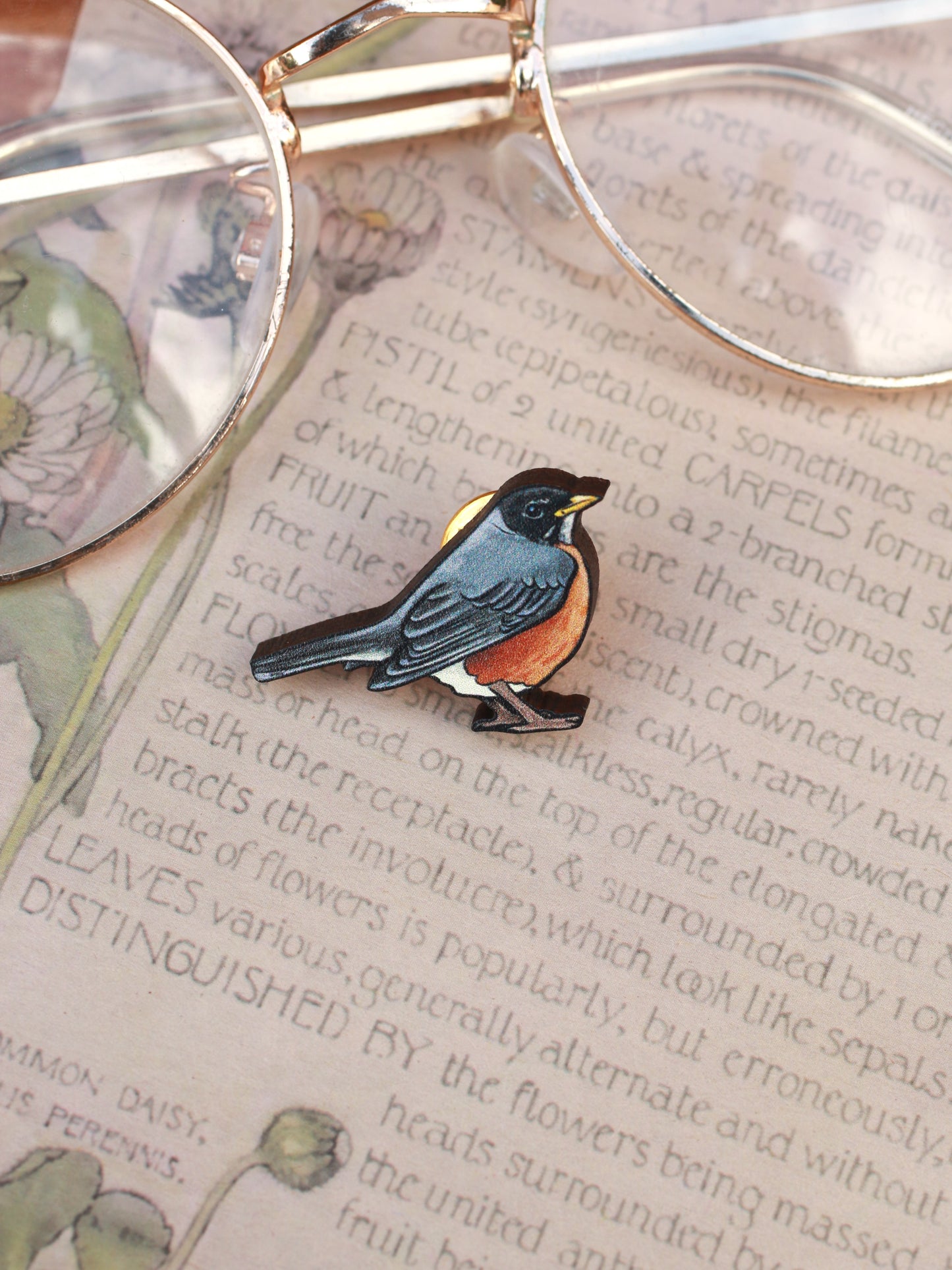 American Robin pin - wooden bird brooch