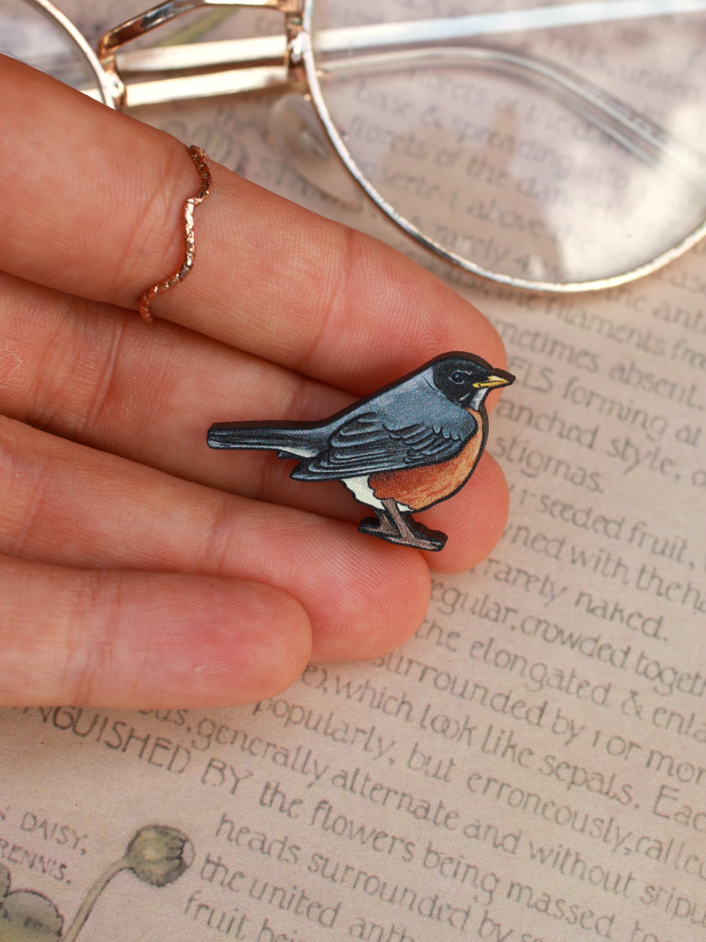 American Robin pin - wooden bird brooch