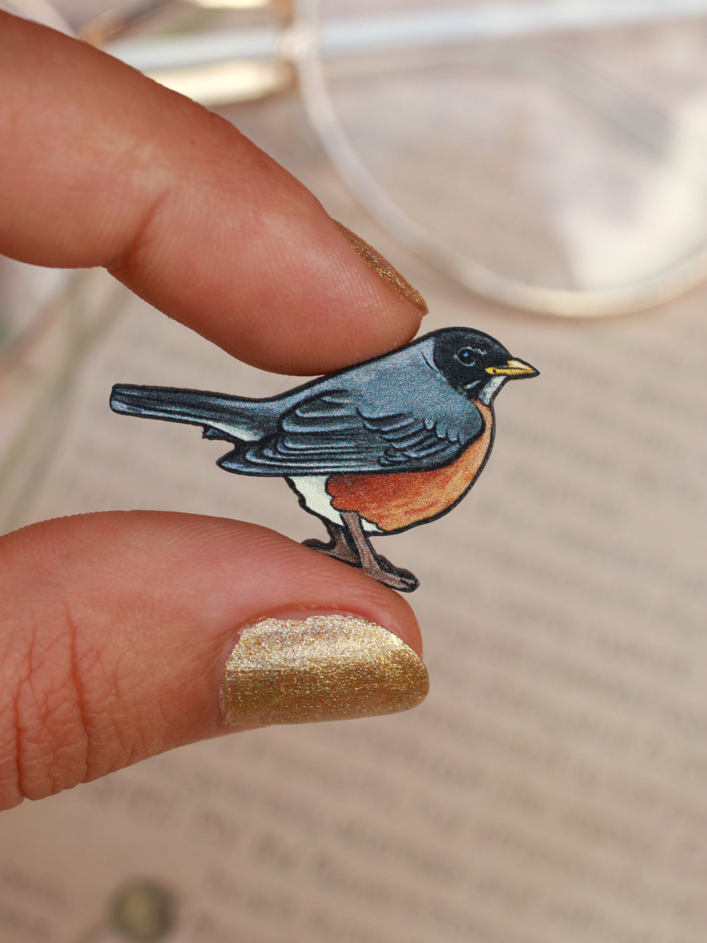 American Robin pin - wooden bird brooch