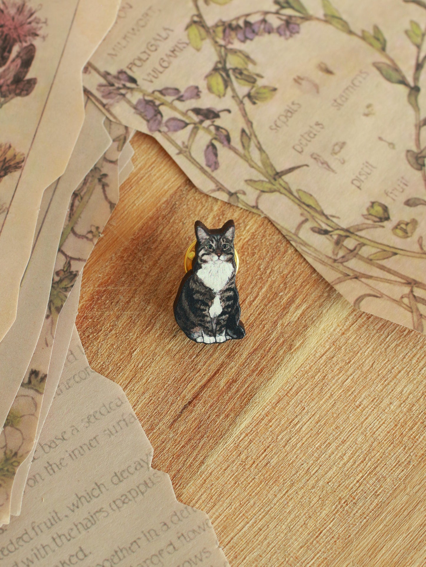 Domestic shorthair cat pin