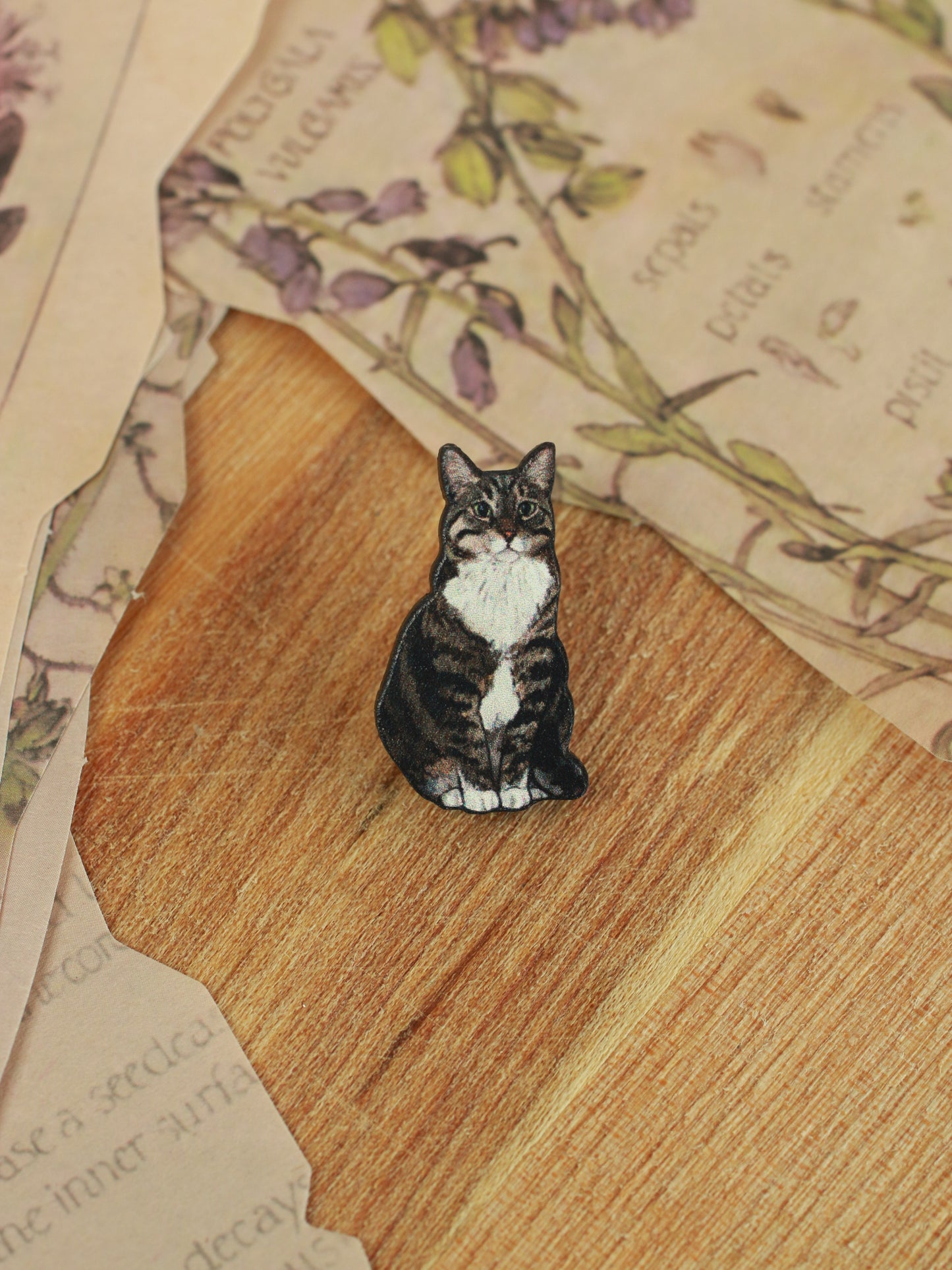 Domestic shorthair cat pin