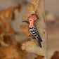 Hoopoe necklace - wooden bird pendant