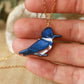Belted kingfisher necklace