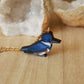 Belted kingfisher necklace