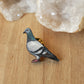 Pigeon pin