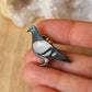 Pigeon pin