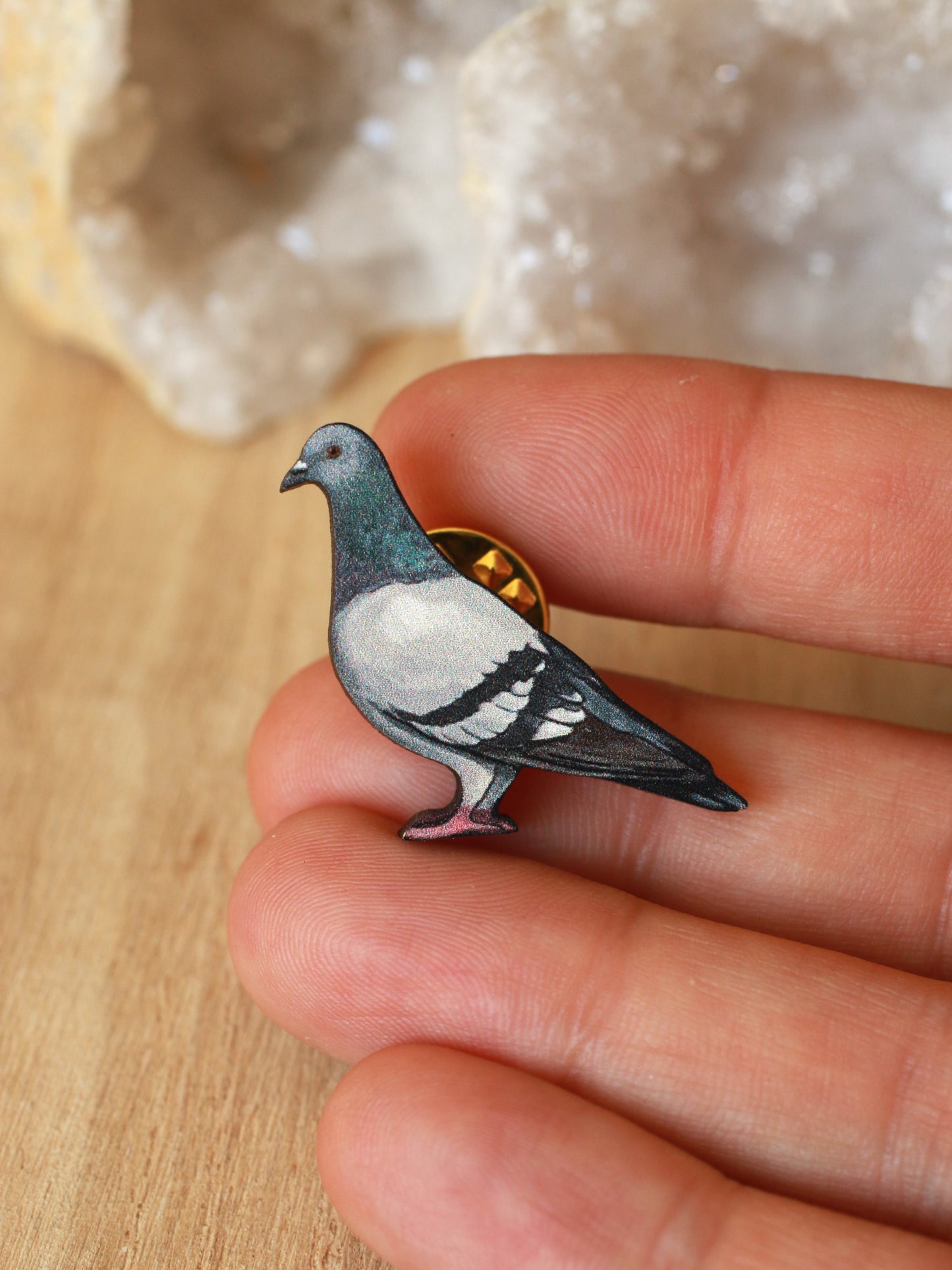 Pigeon pin
