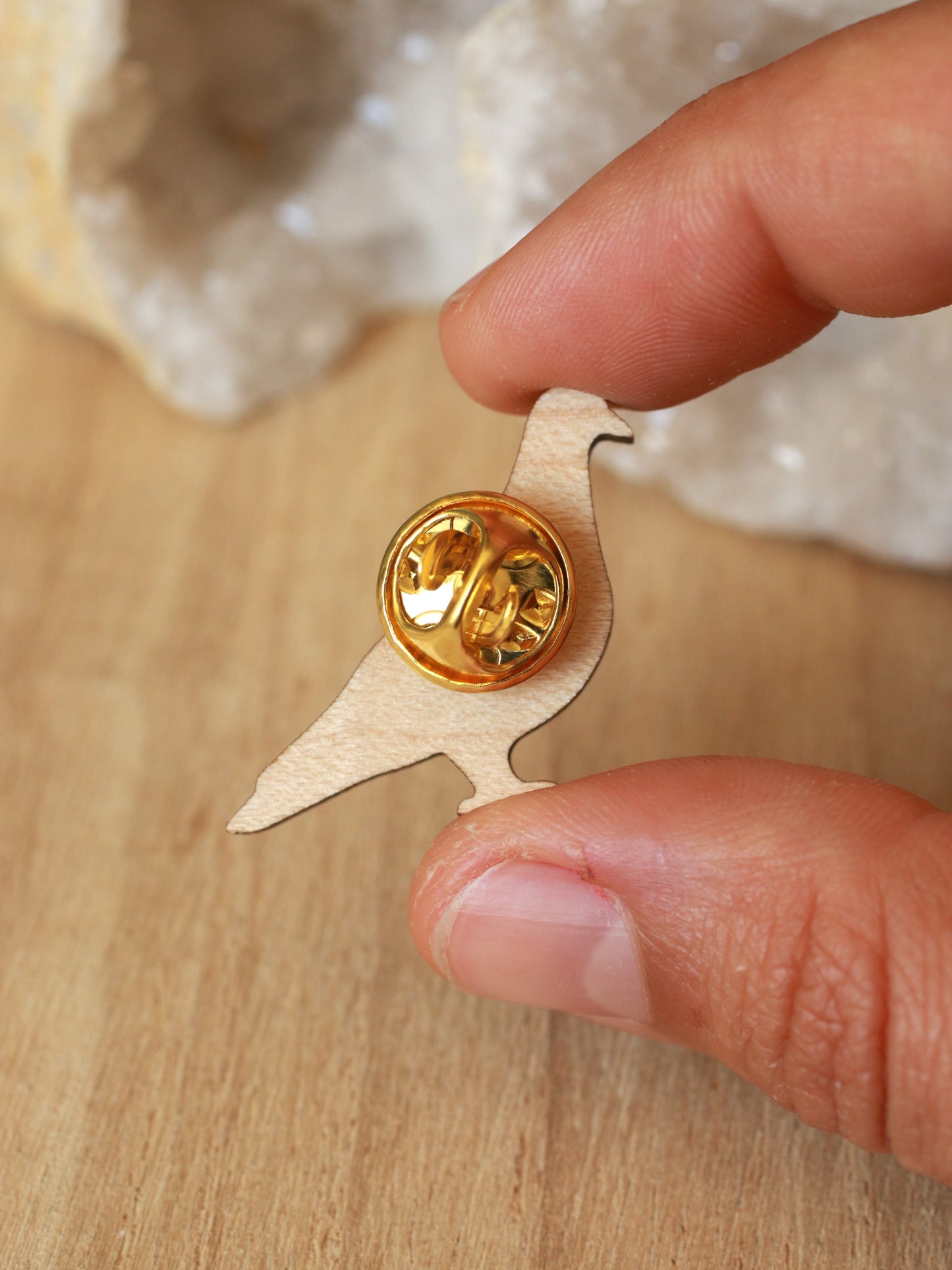 Pigeon pin