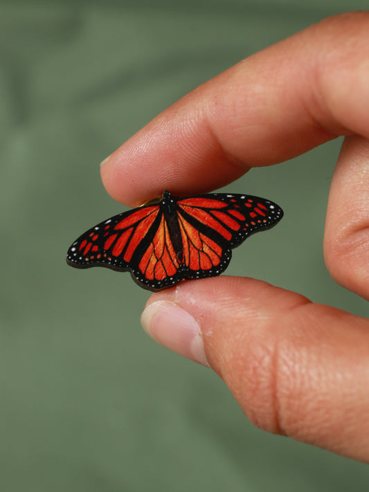 Monarch butterfly