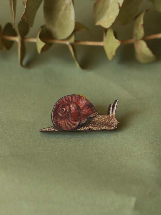 Snail pin - wooden snail brooch